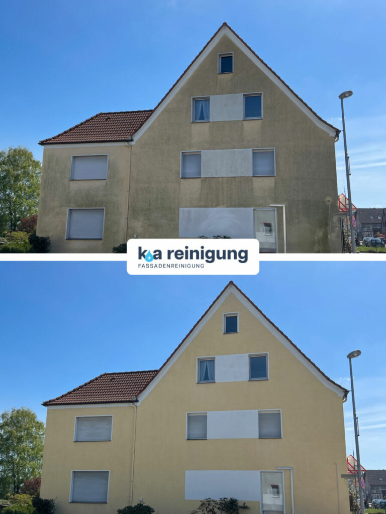 Fassadenreinigung